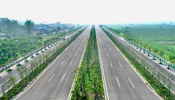 安徽蒙城县S305项目